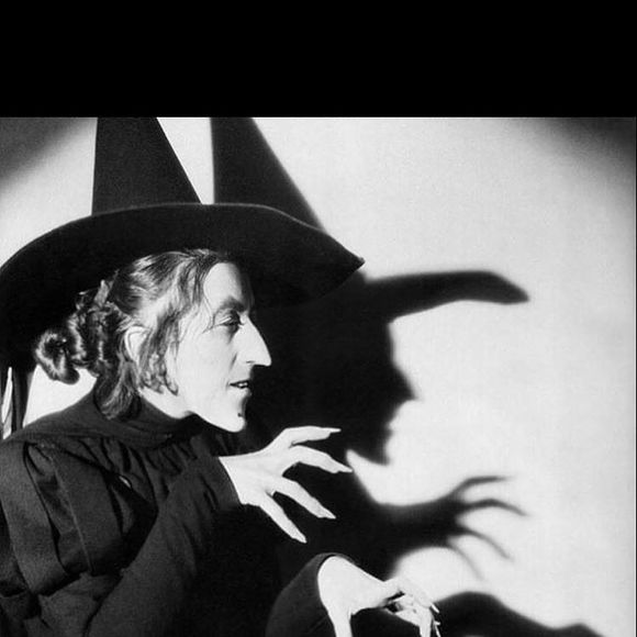 Meet your Posher, Stella - Picture 1 of 1